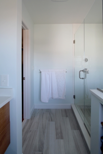 Bath Walk In Frameless Glass Shower Enclosure Wood Look Plank Tile