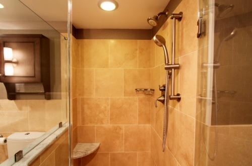 Bathroom Handheld Shower