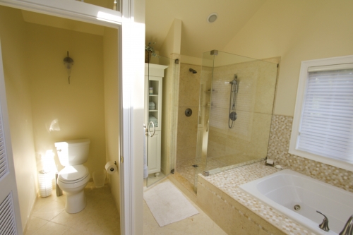 Master Bath Toilet Room Frameless Glass Shower Enclosure Mosaic Tub Surround