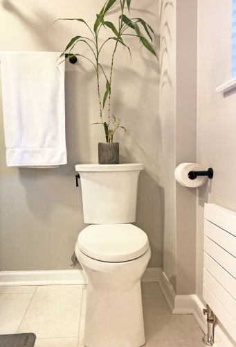  Bathroom Remodel Toilet dRemodeling