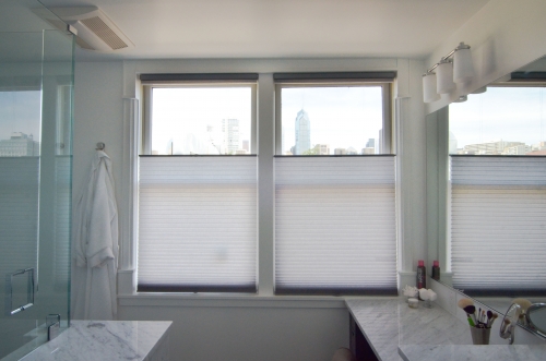 bathroom city view window