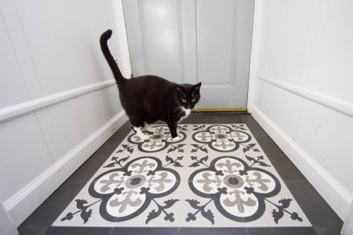 entry cement tile cat