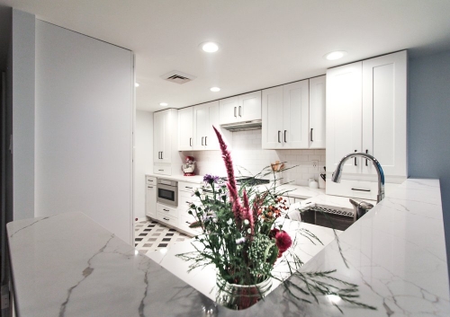 white basement kitchen quartz countertops