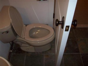 toilet